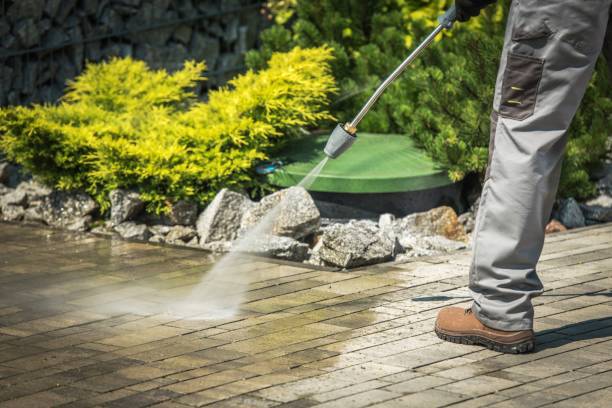 Animal Enclosure Cleaning in Cramerton, NC